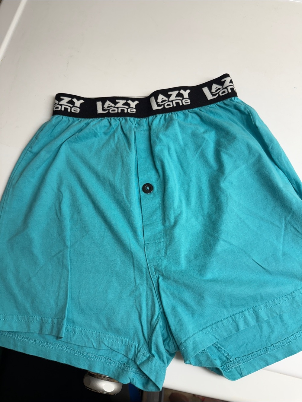 Mens Turquoise Lounge Shorts